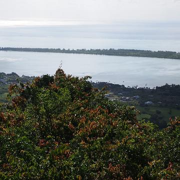 Mauritius 244