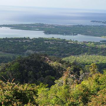 Mauritius 245