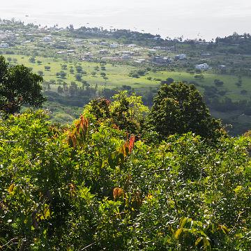 Mauritius 246