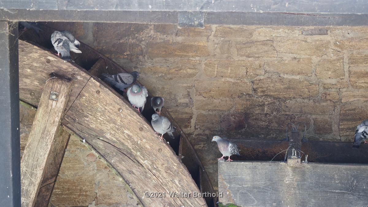 Cabriotour 2021 Harz 156