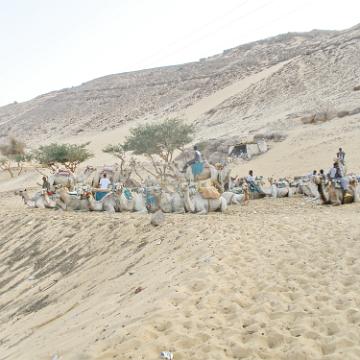 Ägypten 2010