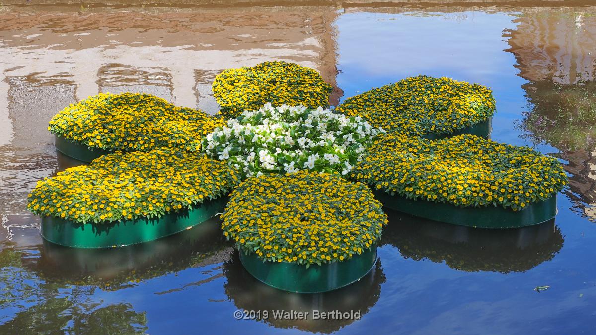 Cabriotour 2019 Papenburg Groningen 024