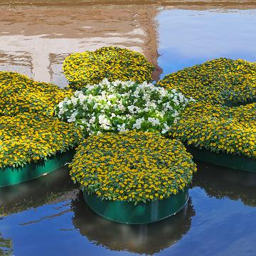 Cabriotour 2019 Papenburg Groningen 024