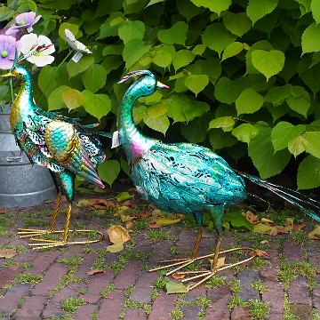 Cabriotour 2019 Papenburg Groningen 118