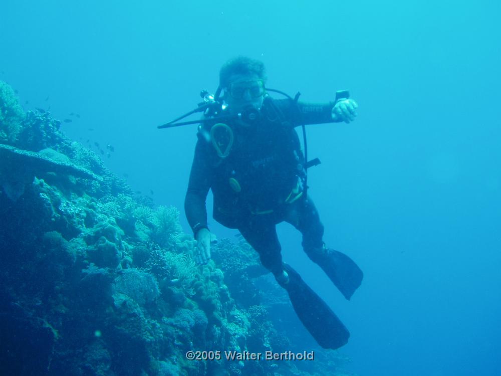 Philippines 2005 024