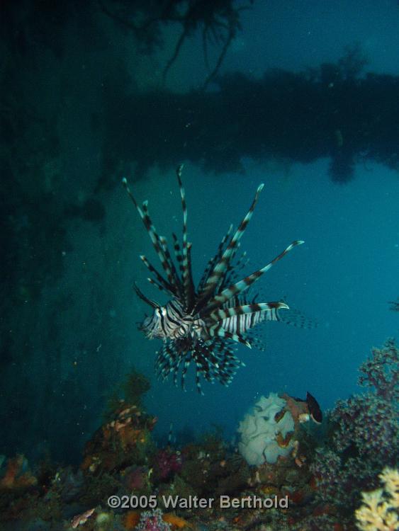 Philippines 2005 046