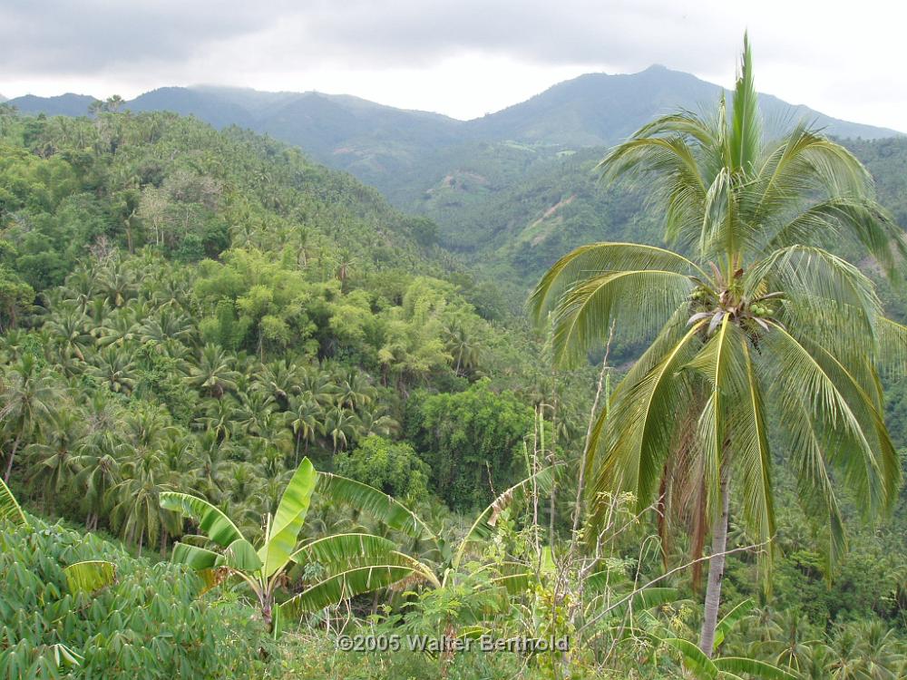 Philippines 2005 149