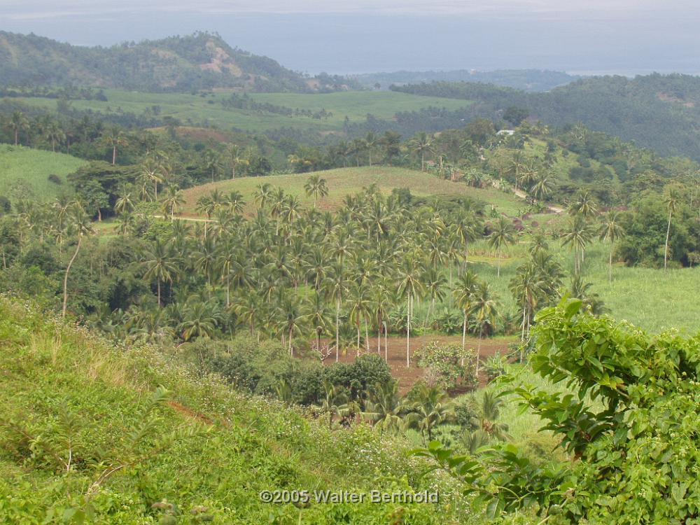 Philippines 2005 155