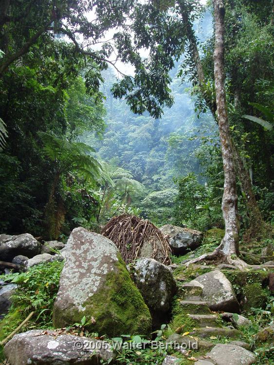 Philippines 2005 193