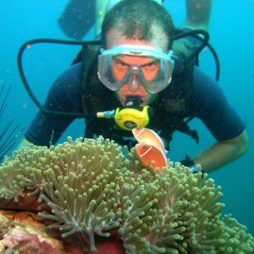 steve and clownfish