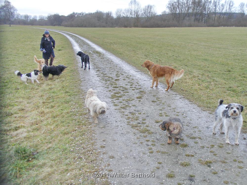 Postmuenster 2011 08