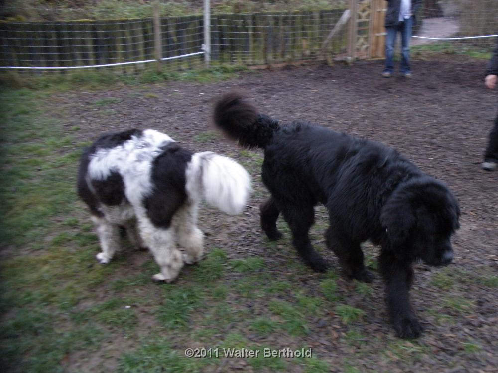 Postmuenster 2011 67
