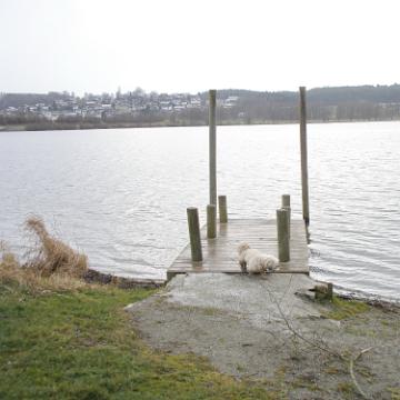 Postmuenster 2011 01