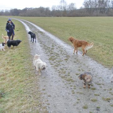 Postmuenster 2011 08