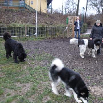 Postmuenster 2011 66