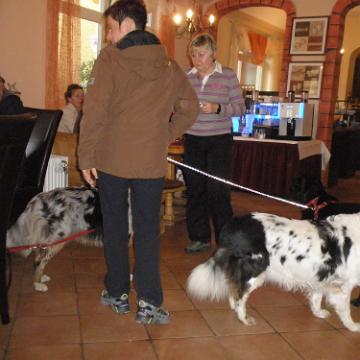 Postmuenster 2011 78