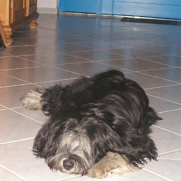 Romeo 077