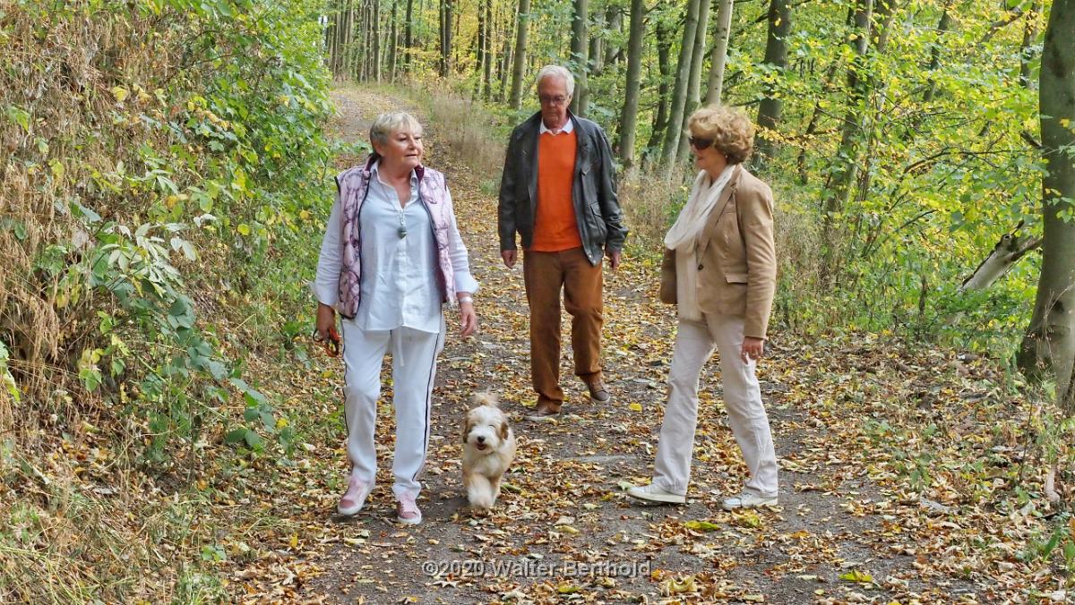 Cabriotour 2020 Sauerland 033
