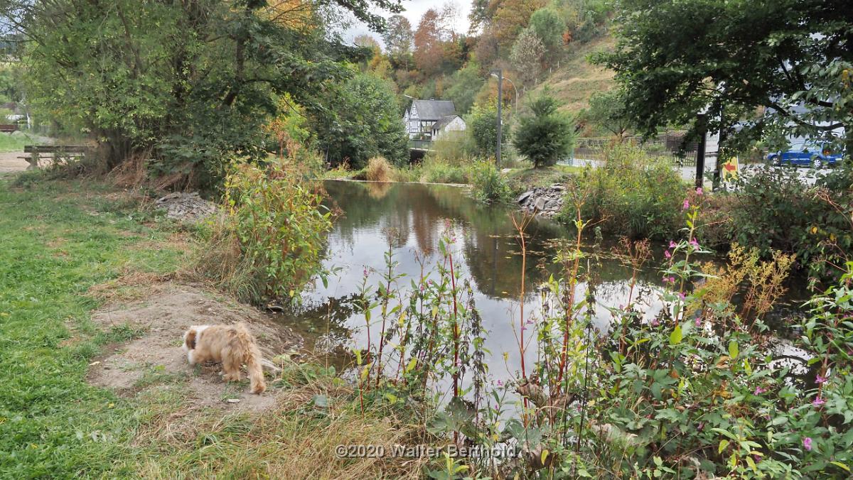 Cabriotour 2020 Sauerland 034