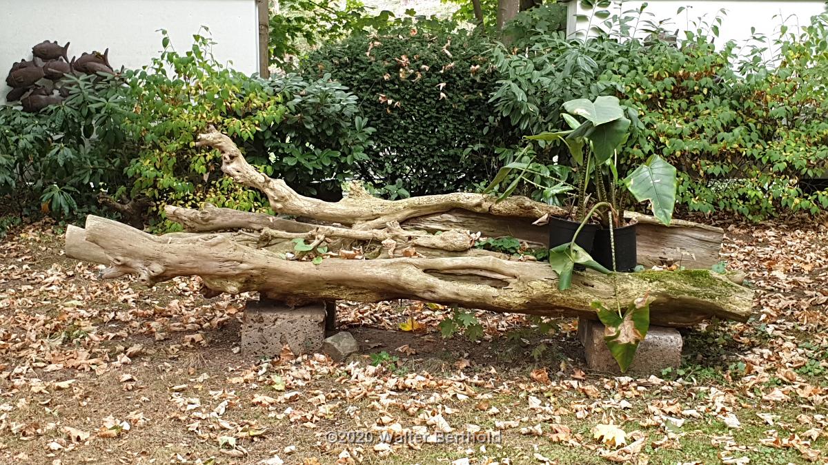 Cabriotour 2020 Sauerland 086