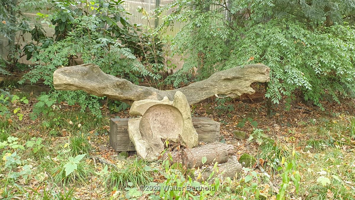 Cabriotour 2020 Sauerland 093