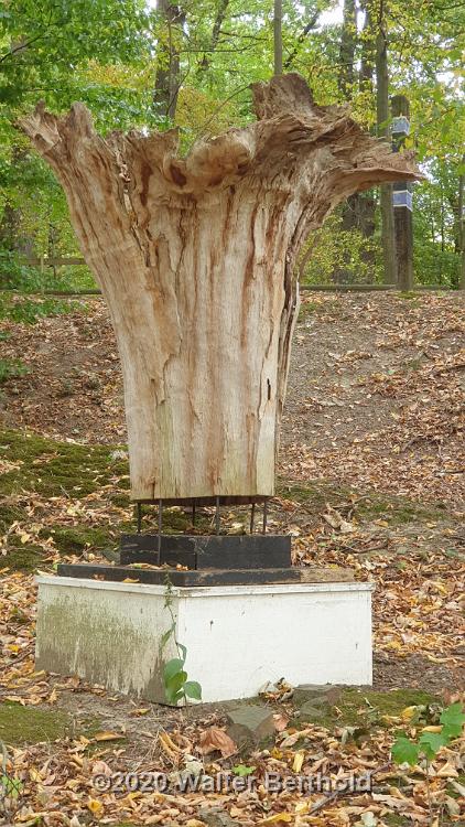 Cabriotour 2020 Sauerland 105