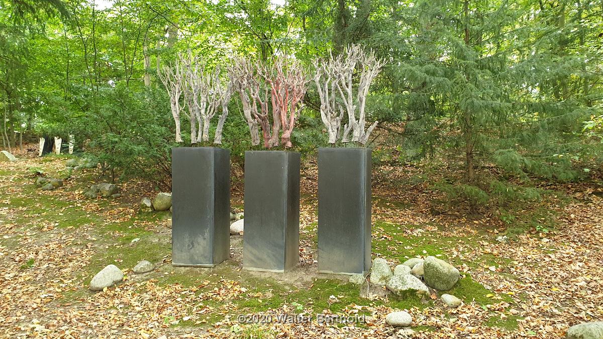 Cabriotour 2020 Sauerland 107