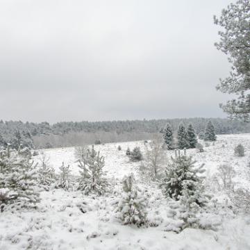 P1030663