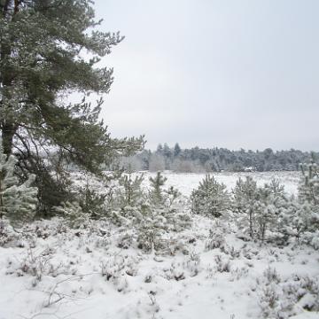 P1030665