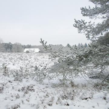 P1030671