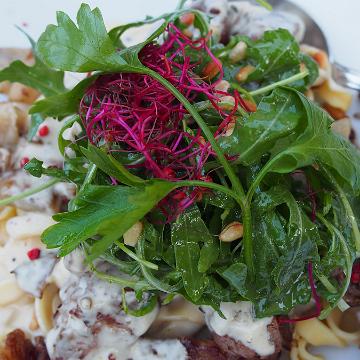 Cabriotour 2018 Soest 083