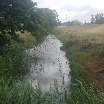 Cabriotour Stralsund 2017 031