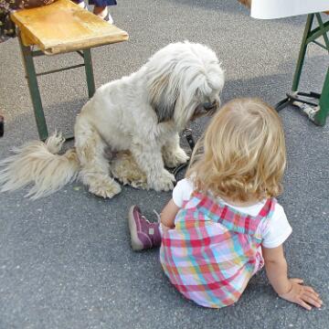 Stuehkampfest 2011 021