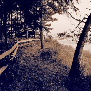 Sylt Nov 2012 096