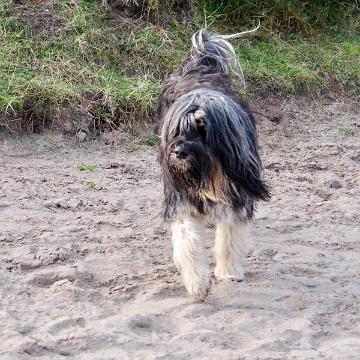 Sylt Nov 2012 113