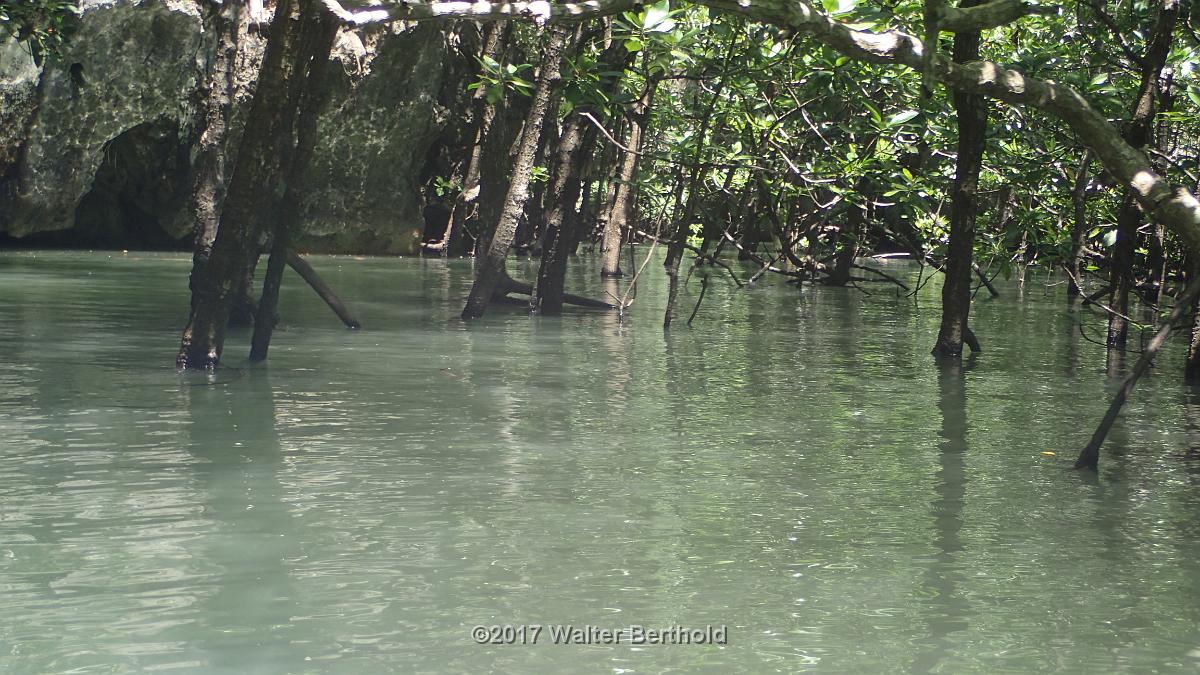 Thailand 2017 243