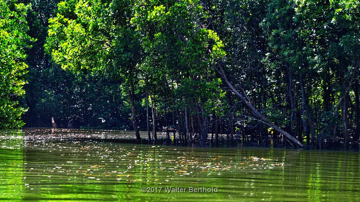 Thailand 2017 291