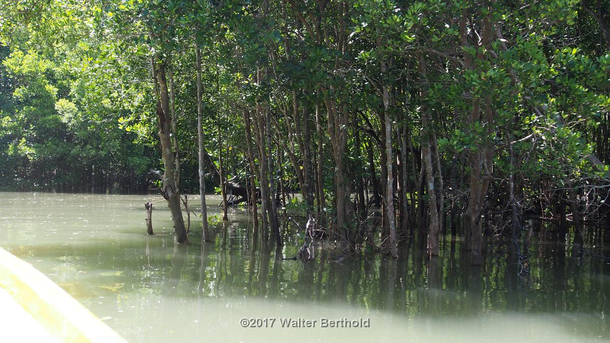 Thailand 2017 292