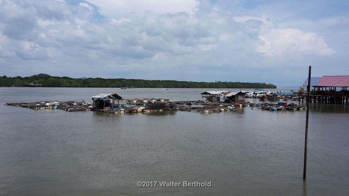 Thailand 2017 357