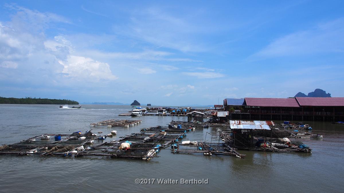 Thailand 2017 361