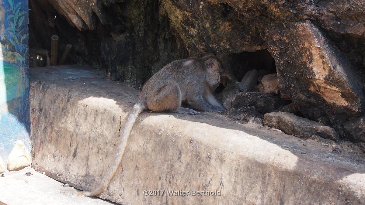 Thailand 2017 393