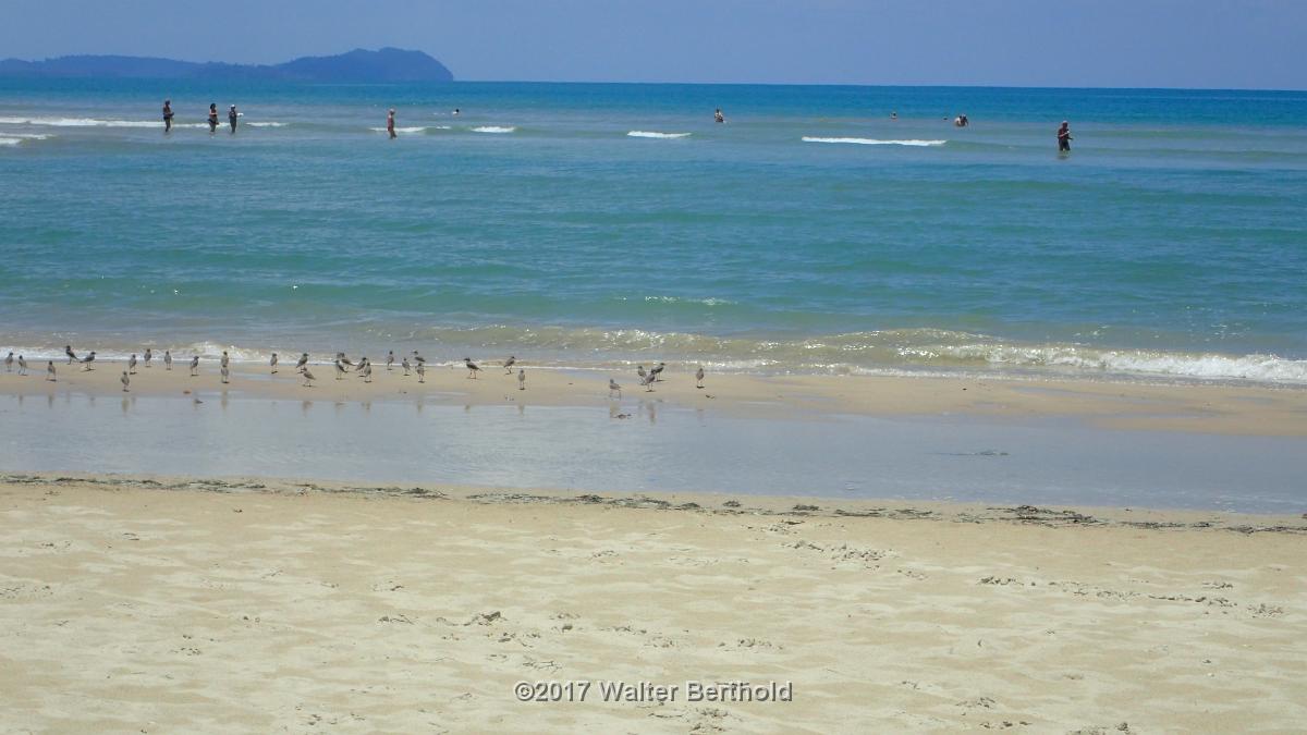Thailand 2017 419