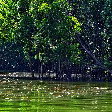 Thailand 2017 291