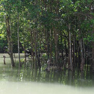 Thailand 2017 292