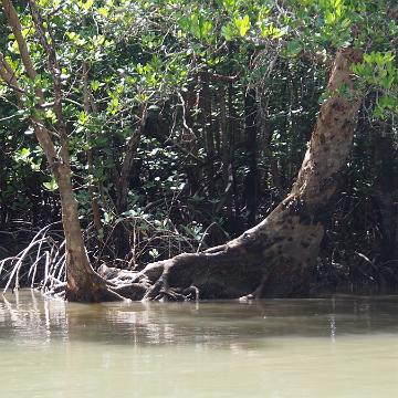 Thailand 2017 372