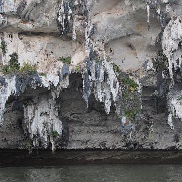 Thailand 2017 374