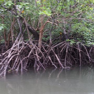 Thailand 2017 388