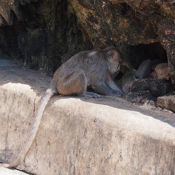 Thailand 2017 393