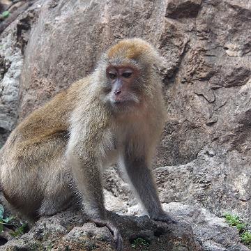 Thailand 2017 413