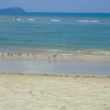 Thailand 2017 419